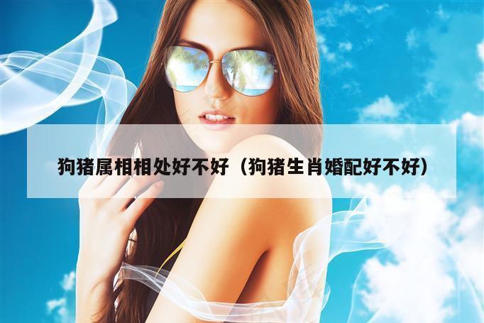 狗猪属相相处好不好（狗猪生肖婚配好不好）